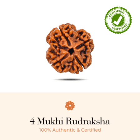 NATURAL 4 MUKHI RUDRAKSHA (NEPALI)