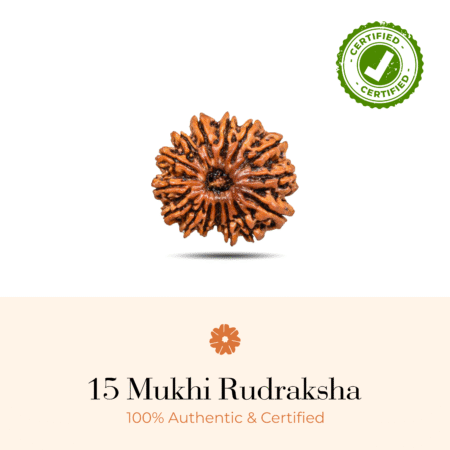 NATURAL 15 MUKHI RUDRAKSHA (NEPALI)