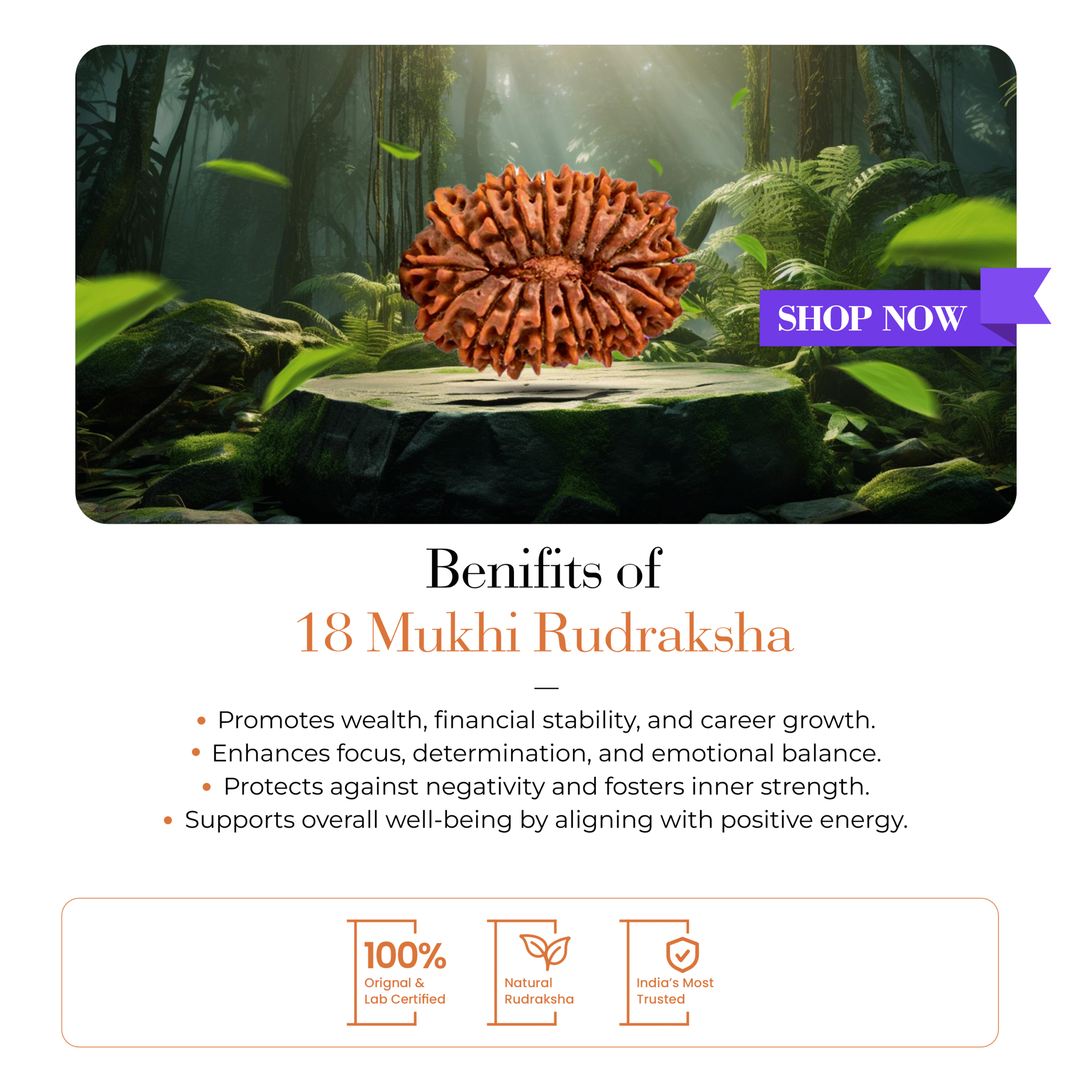 SPATIKAM_18 MUKHI_RUDRAKSHA_p2