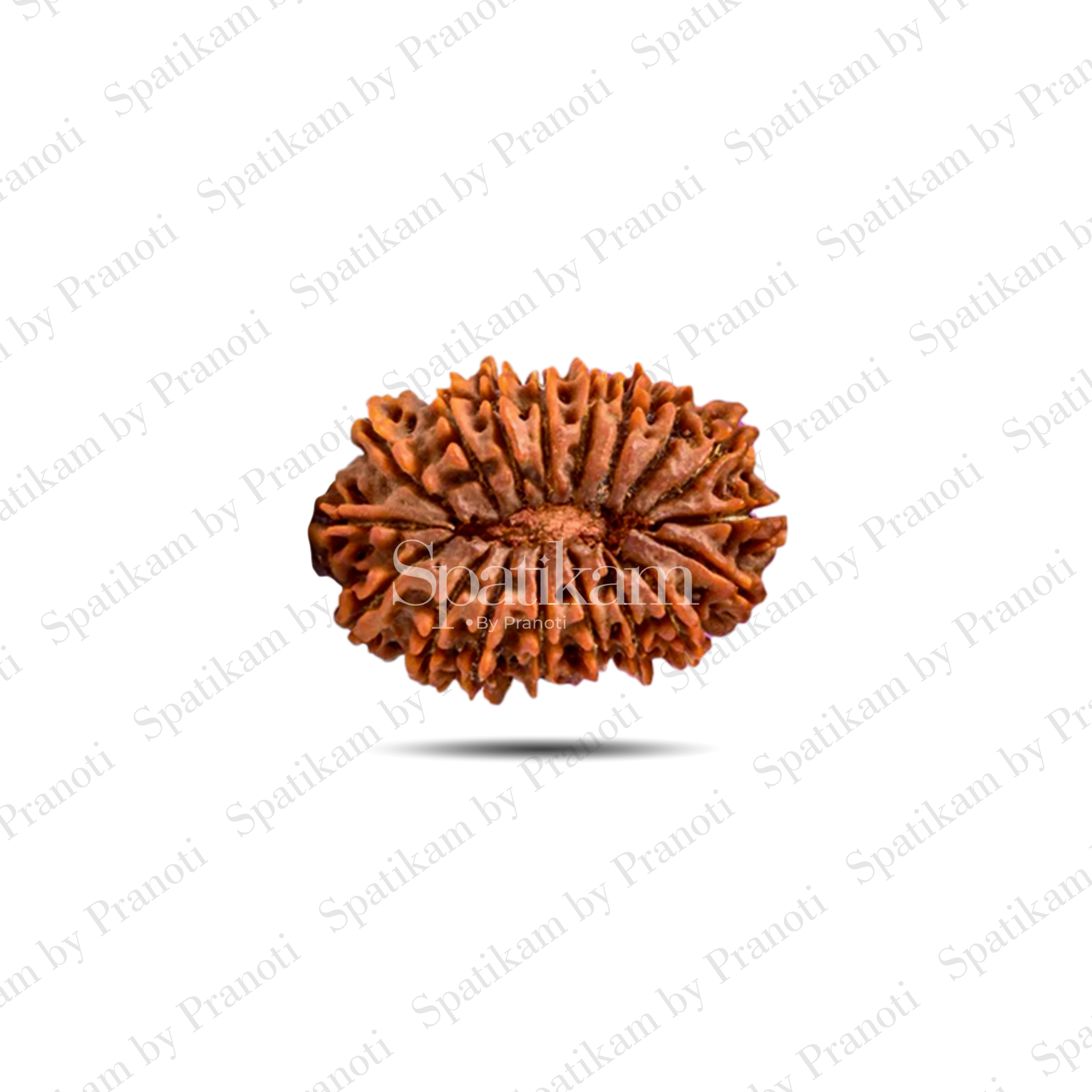 SPATIKAM_18 MUKHI_RUDRAKSHA_p3