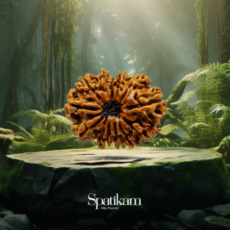 Rudraksha